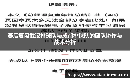 赛后复盘武汉排球队与成都排球队的团队协作与战术分析