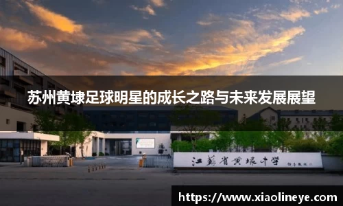 澳门威尼斯人平台